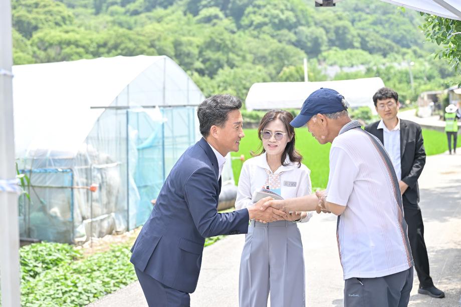 해당파일이미지