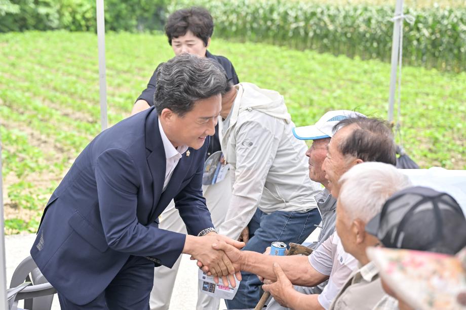 해당파일이미지