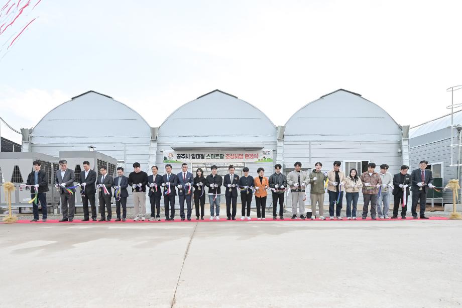 해당파일이미지