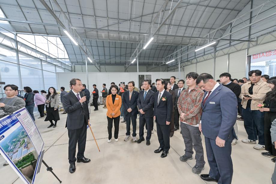 해당파일이미지