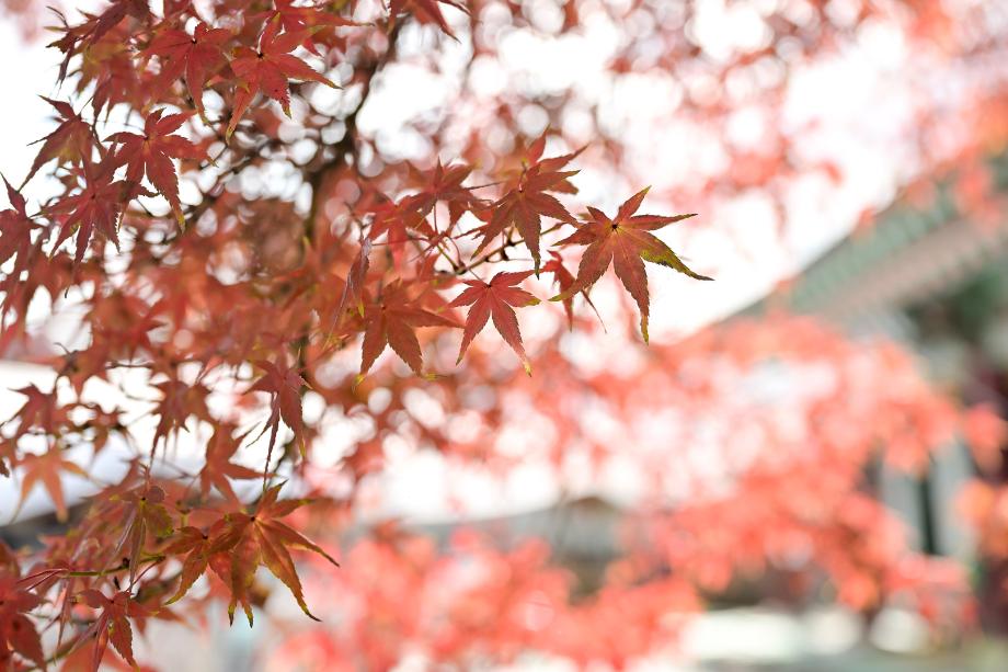 해당파일이미지