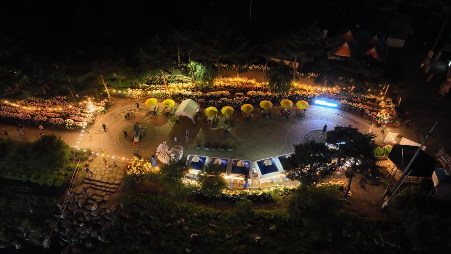 공주 유구색동수국정원 꽃 축제4